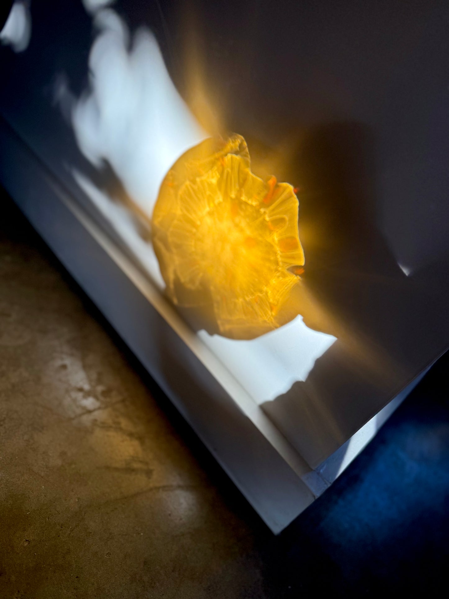 Fused 8.25” Scalloped Bowl in Speckled Amber