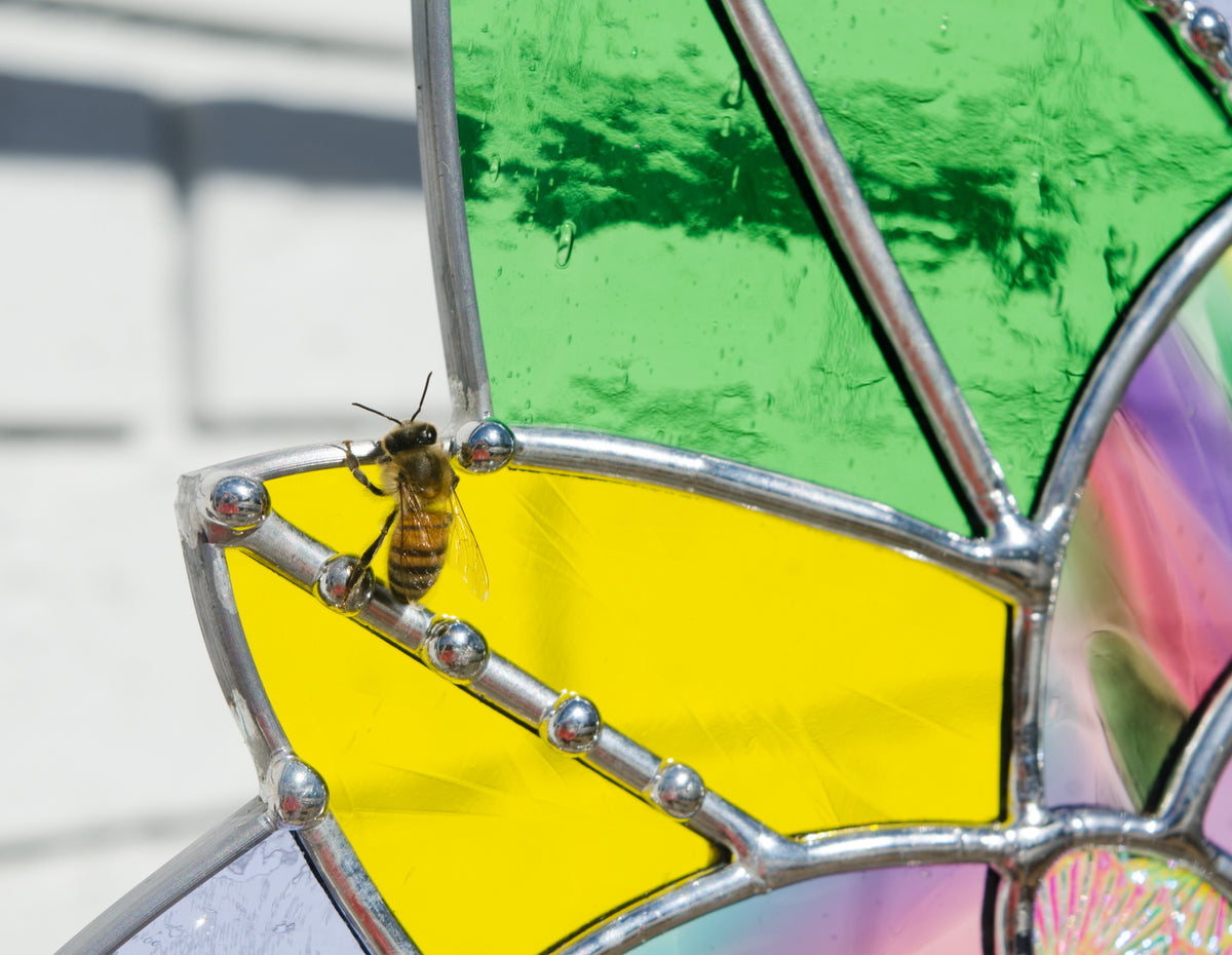 Mardi Gras Flower